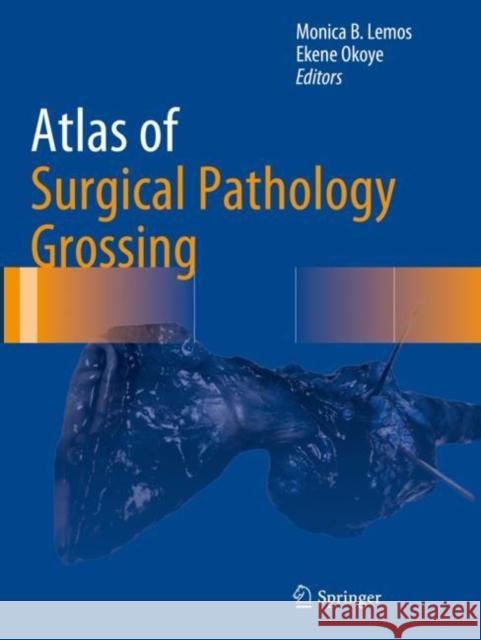 Atlas of Surgical Pathology Grossing Monica B. Lemos Ekene Okoye 9783030208417 Springer - książka