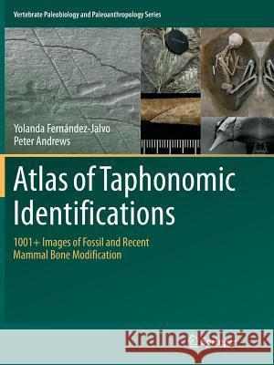 Atlas of Taphonomic Identifications: 1001+ Images of Fossil and Recent Mammal Bone Modification Fernandez-Jalvo, Yolanda 9789402413489 Springer - książka