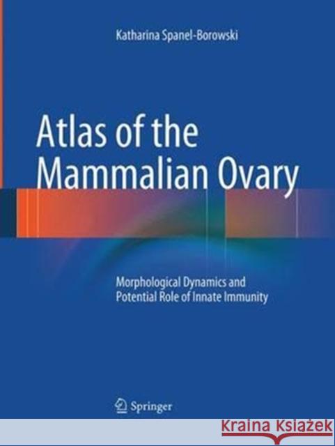Atlas of the Mammalian Ovary: Morphological Dynamics and Potential Role of Innate Immunity Spanel-Borowski, Katharina 9783662520857 Springer - książka