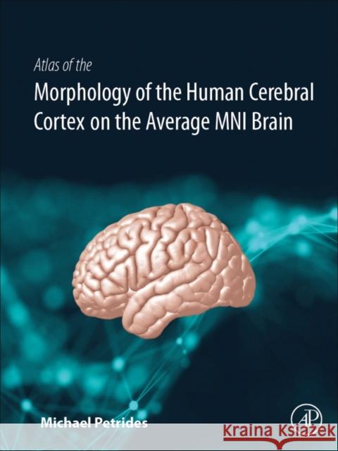 Atlas of the Morphology of the Human Cerebral Cortex on the Average Mni Brain Petrides, Michael 9780128009321 Academic Press - książka