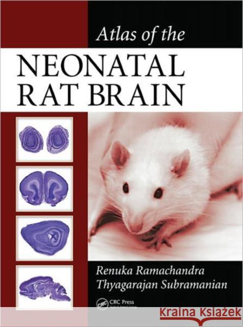 Atlas of the Neonatal Rat Brain Renuka Ramachandra Thyagarajan Subramanian  9781439840122 Taylor & Francis - książka