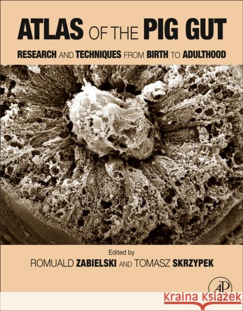Atlas of the Pig Gut: Research and Techniques from Birth to Adulthood Zabielski, Romuald 9780128189580 Academic Press - książka