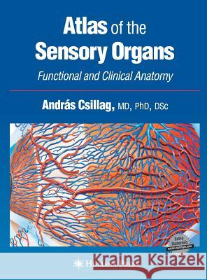 Atlas of the Sensory Organs: Functional and Clinical Anatomy Csillag, András 9781588294128 Humana Press - książka