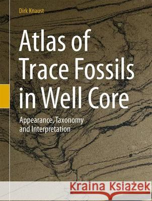 Atlas of Trace Fossils in Well Core: Appearance, Taxonomy and Interpretation Knaust, Dirk 9783319498362 Springer - książka