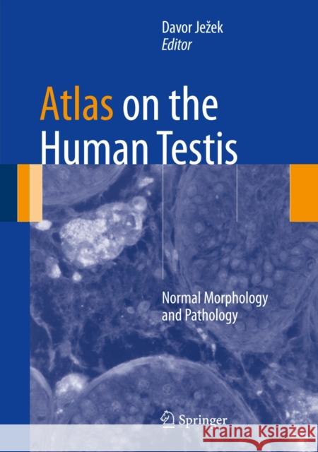 Atlas on the Human Testis: Normal Morphology and Pathology Jezek, Davor 9781447127628 Springer, Berlin - książka