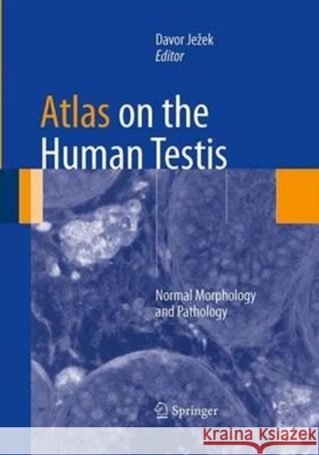 Atlas on the Human Testis: Normal Morphology and Pathology Jezek, Davor 9781447169659 Springer - książka