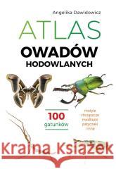 Atlas owadów hodowlanych Angelika Dawidowicz 9788383486024 SBM - książka