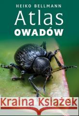 Atlas owadów w.5 Heiko Bellmann 9788381518352 RM - książka