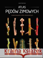 Atlas pędów zimowych Jacek Adamczyk 9788377636077 Multico - książka