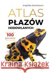 Atlas płazów hodowlanych Angelika Dawidowicz 9788383484914 SBM - książka