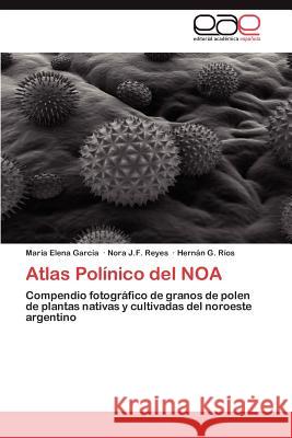 Atlas Polinico del Noa Mar a. Elena Gar Nora J. F. Reyes Hern N. G. R 9783848463183 Editorial Acad Mica Espa Ola - książka