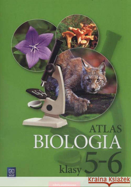 Atlas SP 5-6 Biologia WSiP Michalik Anna 9788302174605 WSiP - książka