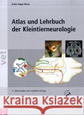 Atlas und Lehrbuch der Kleintierneurologie, m. CD-ROM Jaggy, André   9783899930351 SCHLUTERSCHE - książka