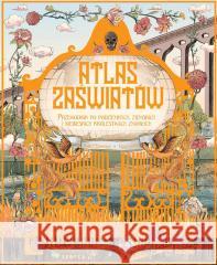 Atlas zaświatów Emily Hawkins 9788368121452 Kropka - książka