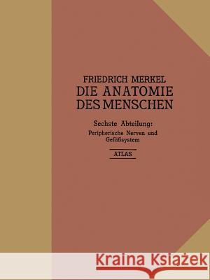 Atlas Zu Peripherische Nerven Und Gefäßsystem Merkel, Friedrich 9783662426449 J.F. Bergmann-Verlag - książka