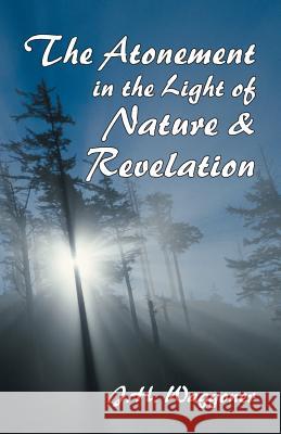 Atonement in the Light of Nature and Revelation J. H. Waggoner Joseph Harvey Waggoner 9781572580787 Teach Services - książka