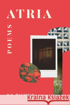 Atria: Poems D. S. Waldman 9781324097266 Liveright Publishing Corporation - książka