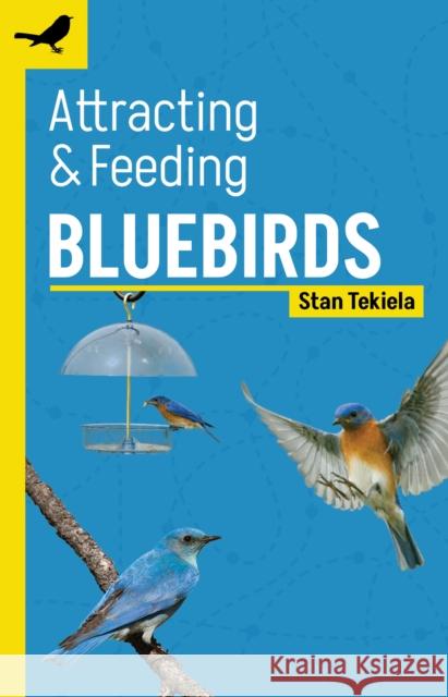 Attracting & Feeding Bluebirds Stan Tekiela 9781647553296 Adventure Publications - książka