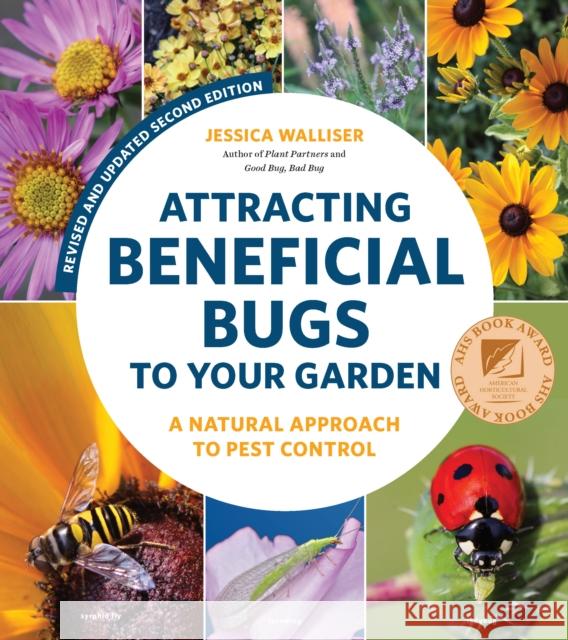 Attracting Beneficial Bugs to Your Garden, Revised and Updated Second Edition: A Natural Approach to Pest Control Jessica Walliser 9780760371718 Quarto Publishing Group USA Inc - książka