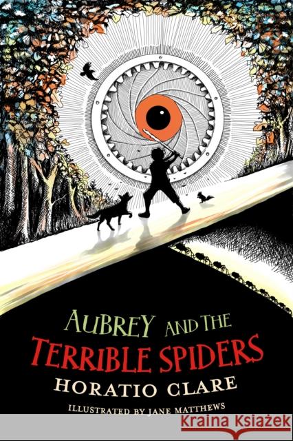 Aubrey and the Terrible Spiders Horatio Clare 9781913102128 Firefly Press Ltd - książka