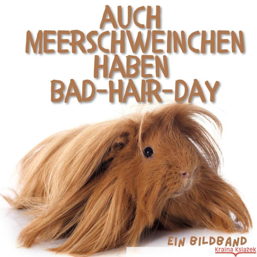 Auch Meerschweinchen haben Bad-Hair-Day Hübsch, Bibi 9783750505223 27amigos - książka