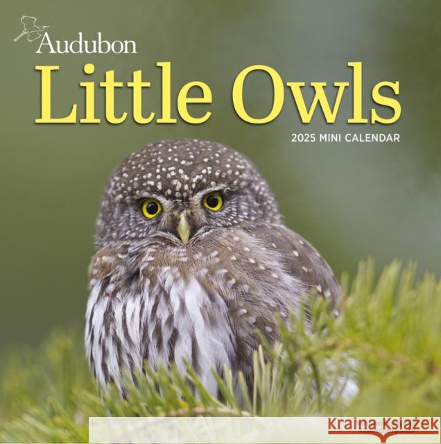 Audubon Little Owls Mini Wall Calendar 2025: A Year of Fluffy and Round Owls National Audubon Society                 Workman Calendars 9781523526130 Workman Publishing - książka