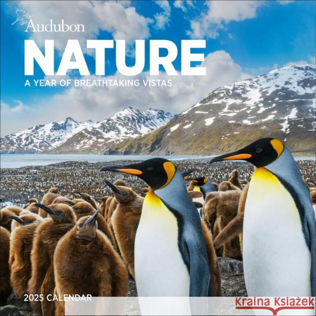 Audubon Nature Wall Calendar 2025: A Year of Breathtaking Vistas National Audubon Society                 Workman Calendars 9781523526307 Workman Publishing - książka