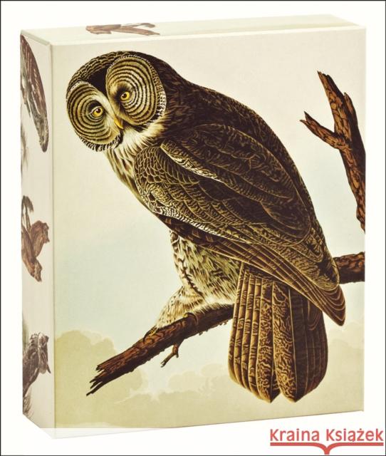 Audubon Owls QuickNotes John James Audubon 9781623258894 teNeues Calendars & Stationery GmbH & Co. KG - książka