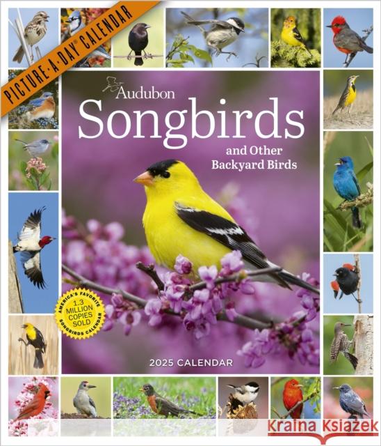 Audubon Songbirds and Other Backyard Birds Picture-A-Day® Wall Calendar 2025 Workman Calendars 9781523526314 Workman Publishing - książka