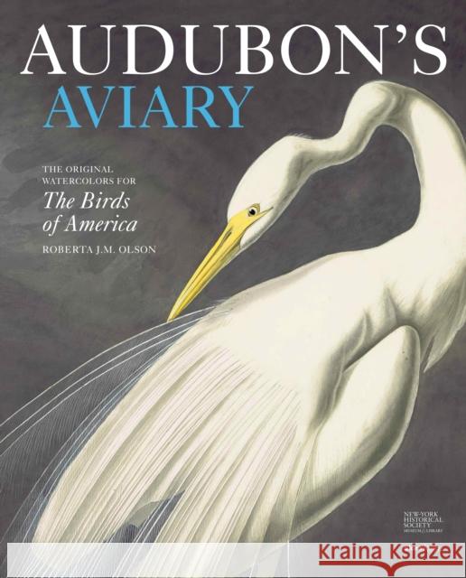 Audubon's Aviary: The Original Watercolors for the Birds of America Olson, Roberta 9780847834839  - książka