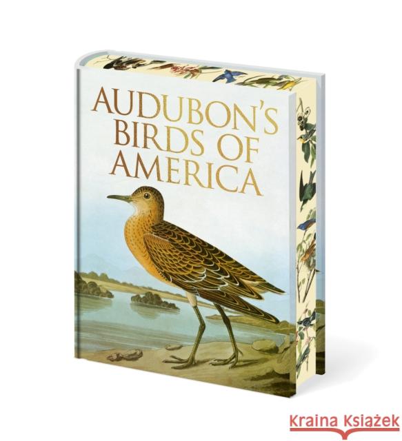 Audubon's Birds of America John James Audubon 9781398850866 Arcturus Publishing Ltd - książka