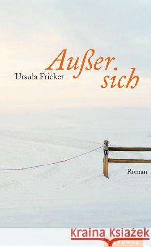 Außer sich : Roman Fricker, Ursula 9783858694706 Rotpunktverlag, Zürich - książka