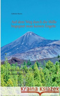 Auf dem Weg durch die Hölle begegnet man keinen Engeln: Schicksalsjahre einer Auswanderin Gabriele Meerts 9783844804270 Books on Demand - książka
