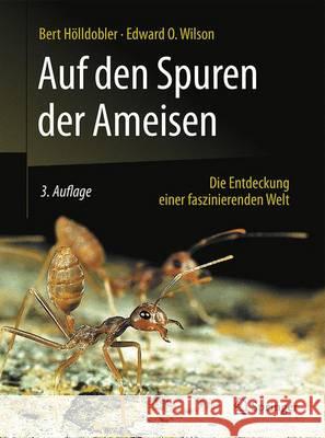 Auf Den Spuren Der Ameisen: Die Entdeckung Einer Faszinierenden Welt Hölldobler, Bert 9783662484067 Springer Spektrum - książka