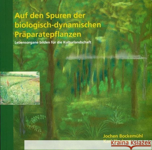 Auf den Spuren der biologisch-dynamischen Präparatepflanzen : Lebensorgane bilden für die Kulturlandschaft Bockemühl, Jochen; Järvinen, Kari 9783723512210 Verlag am Goetheanum - książka