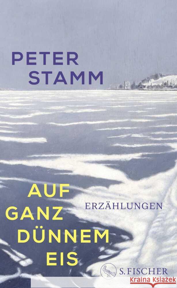 Auf ganz dünnem Eis Stamm, Peter 9783103971279 S. Fischer Verlag GmbH - książka