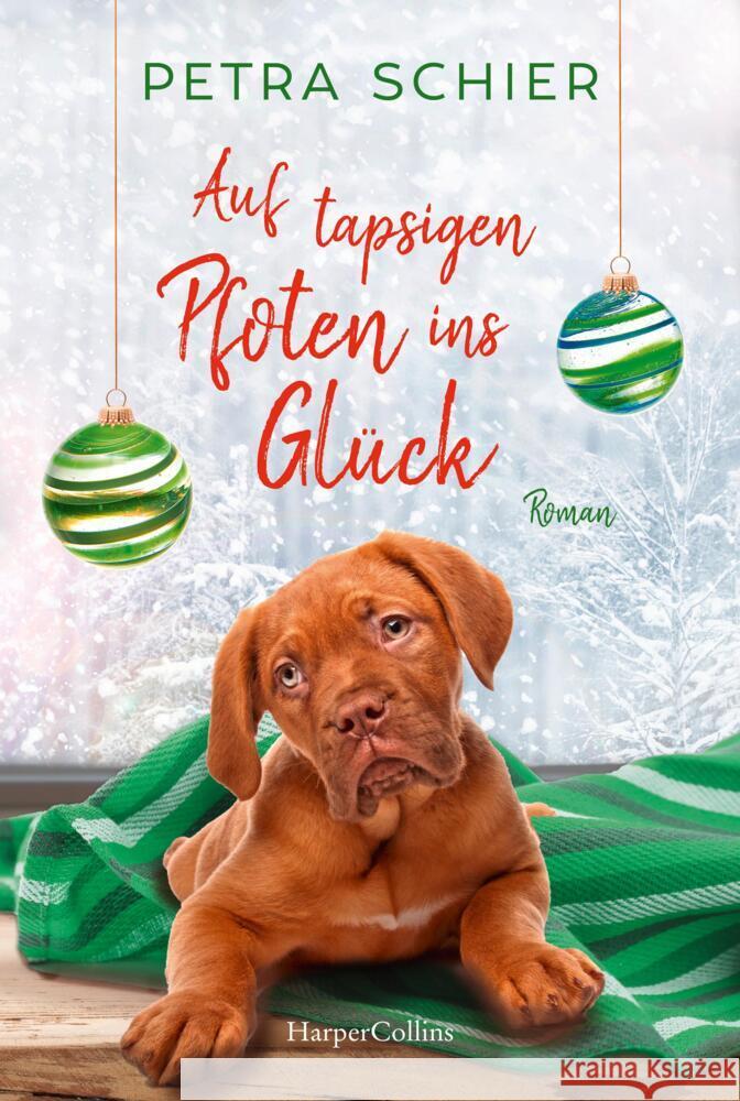 Auf tapsigen Pfoten ins Glück Schier, Petra 9783365000977 HarperCollins Hamburg - książka