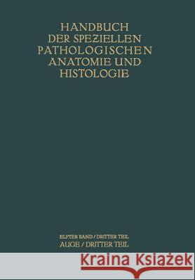 Auge: Dritter Teil Abelsdorff, G. 9783642480270 Springer - książka