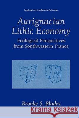 Aurignacian Lithic Economy: Ecological Perspectives from Southwestern France Dibble, Harold 9781441933379 Not Avail - książka