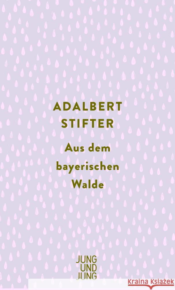 Aus dem bayerischen Walde Stifter, Adalbert 9783990272664 Jung und Jung - książka