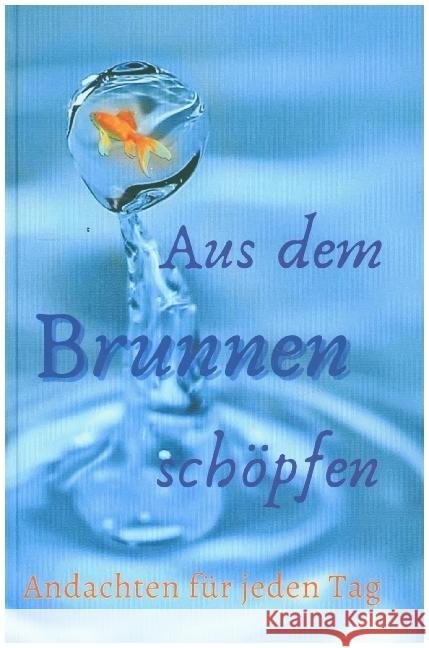 Aus dem Brunnen schöpfen Linthe, Tilo 9789403623825 Bookmundo - książka