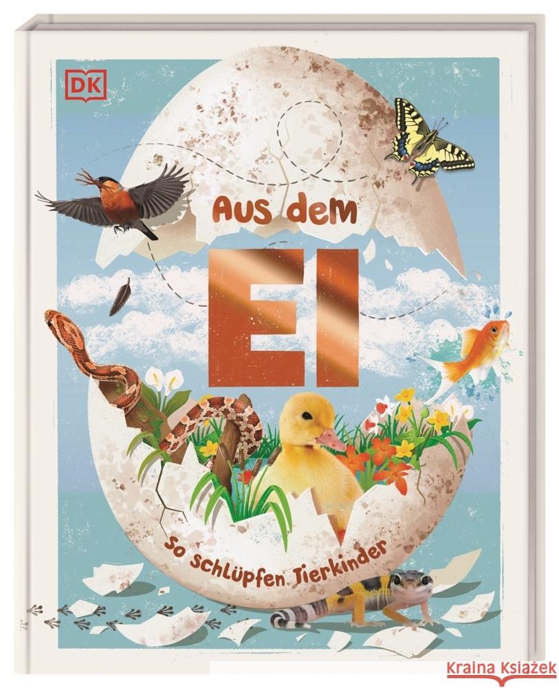 Aus dem Ei Burton, Robert 9783831048427 Dorling Kindersley Verlag - książka