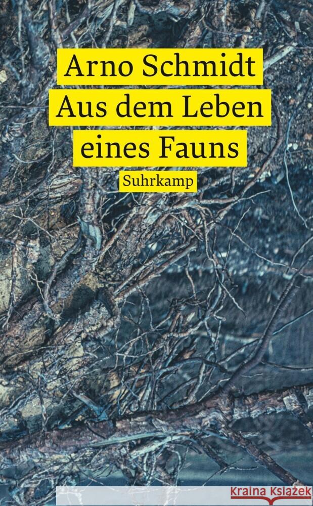 Aus dem Leben eines Fauns Schmidt, Arno 9783518473320 Suhrkamp - książka