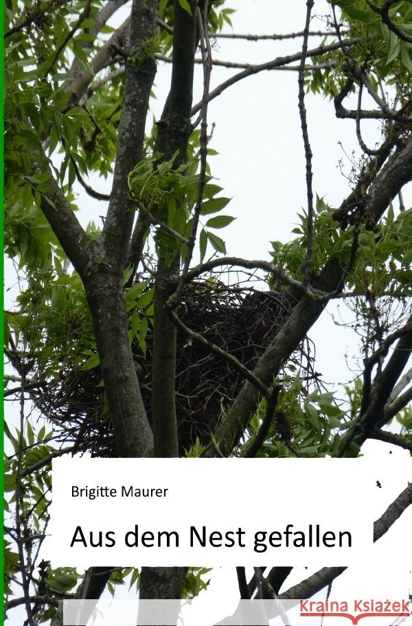 Aus dem Nest gefallen Maurer, Brigitte 9783754931813 epubli - książka