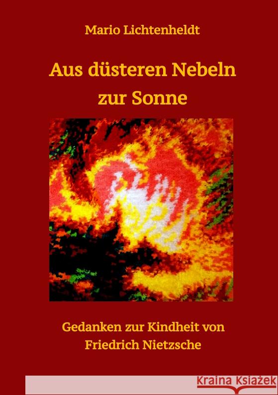 Aus düsteren Nebeln zur Sonne Lichtenheldt, Mario 9783347570740 tredition - książka