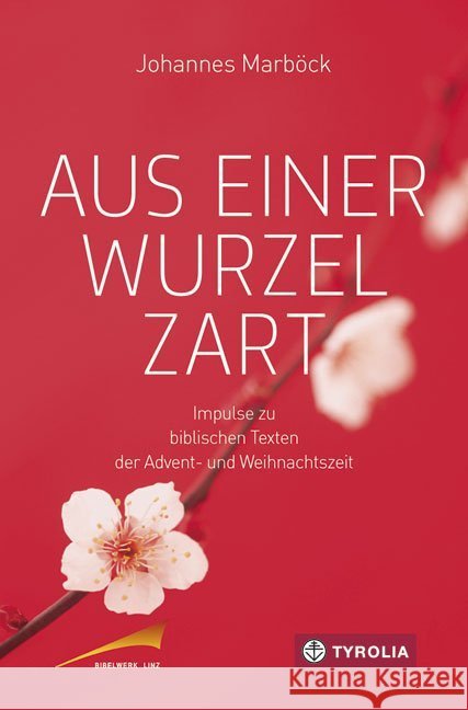 Aus einer Wurzel zart : Impulse zu biblischen Texten der Advent- und Weihnachtszeit Marböck, Johannes 9783702235550 Tyrolia - książka