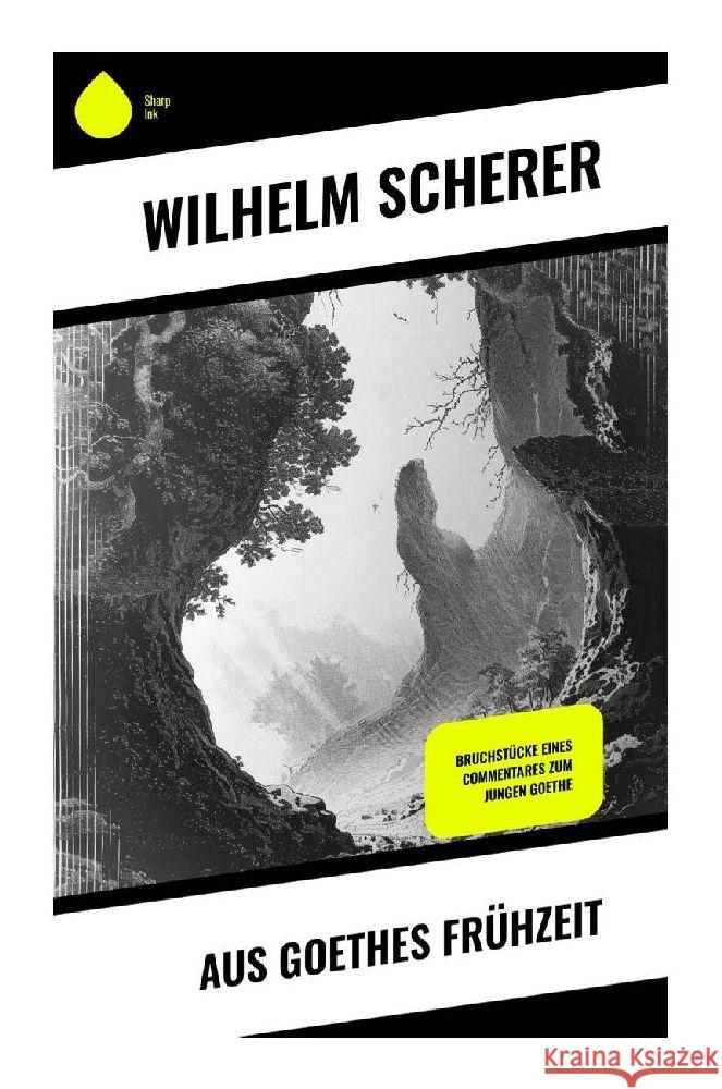 Aus Goethes Frühzeit Scherer, Wilhelm 9788028351960 Sharp Ink - książka