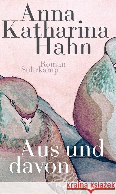 Aus und davon : Roman Hahn, Anna Katharina 9783518429198 Suhrkamp - książka
