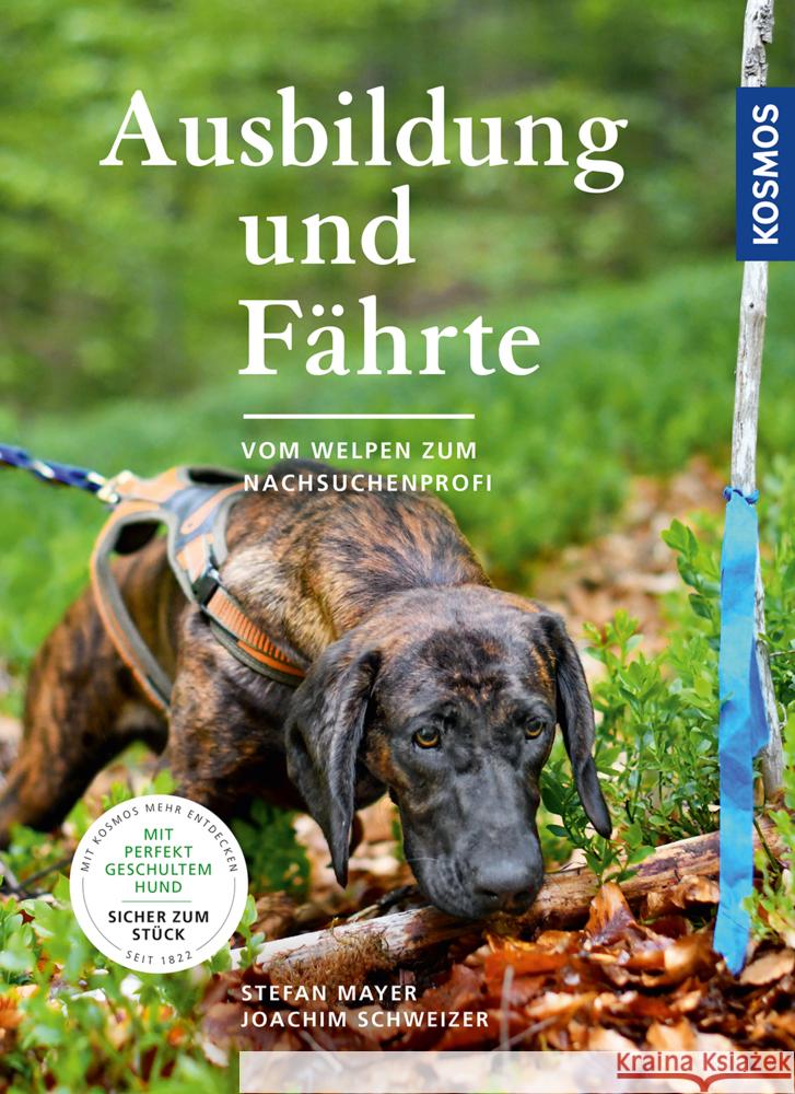 Ausbildung und Fährte : Vom Welpen zum Nachsuchenprofi. Mit perfekt geschultem Hund - sicher zum Stück Mayer, Stefan; Schweizer, Joachim 9783440167335 Kosmos (Franckh-Kosmos) - książka