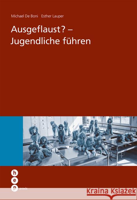 Ausgeflaust - Jugendliche führen De Boni, Michael; Lauper, Esther 9783035502701 hep Verlag - książka